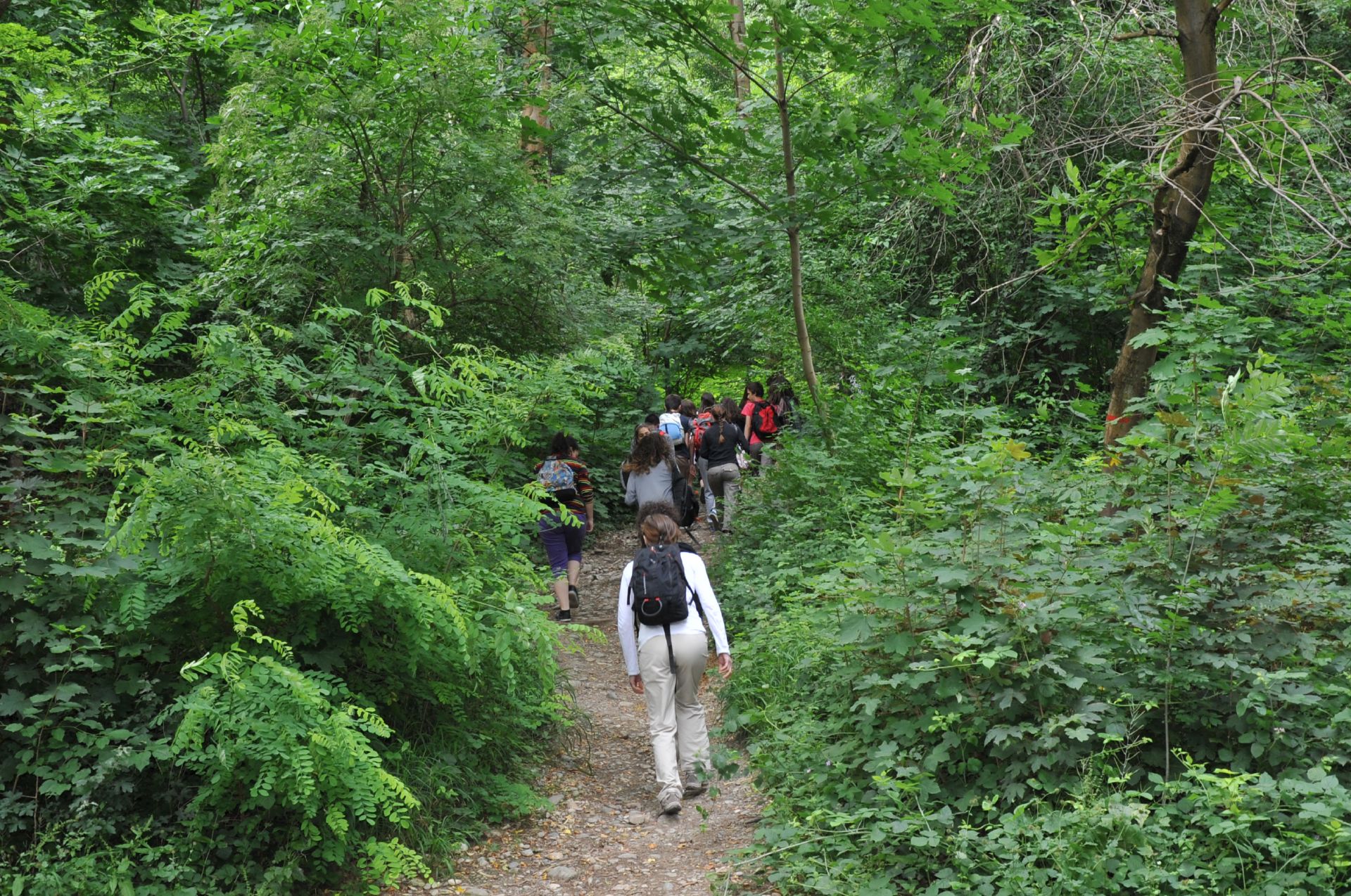 Des randonneurs s'élancent sur les sentiers de la Frange Verte pour une balade, direction Jarrie et le plateau de Champagnier.