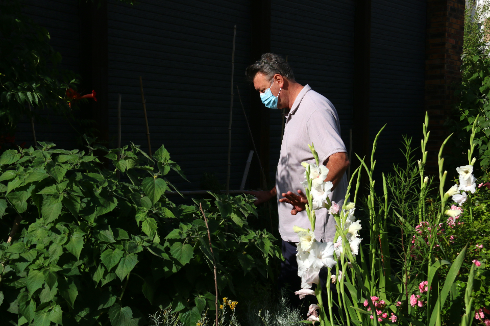 Un habitant cultive ses framboisiers au jardin collectif de la MDH Anne Franck