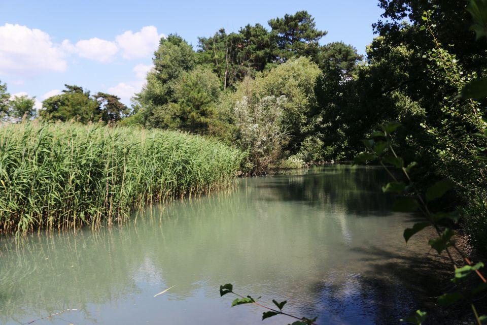 Photo de l'étang du Parc Géo-Charles