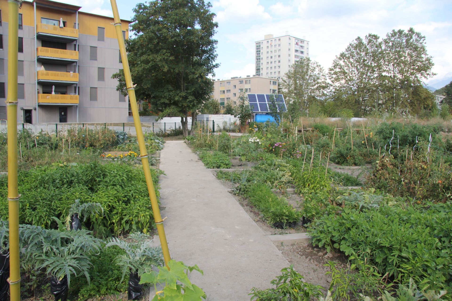 Jardins métissés