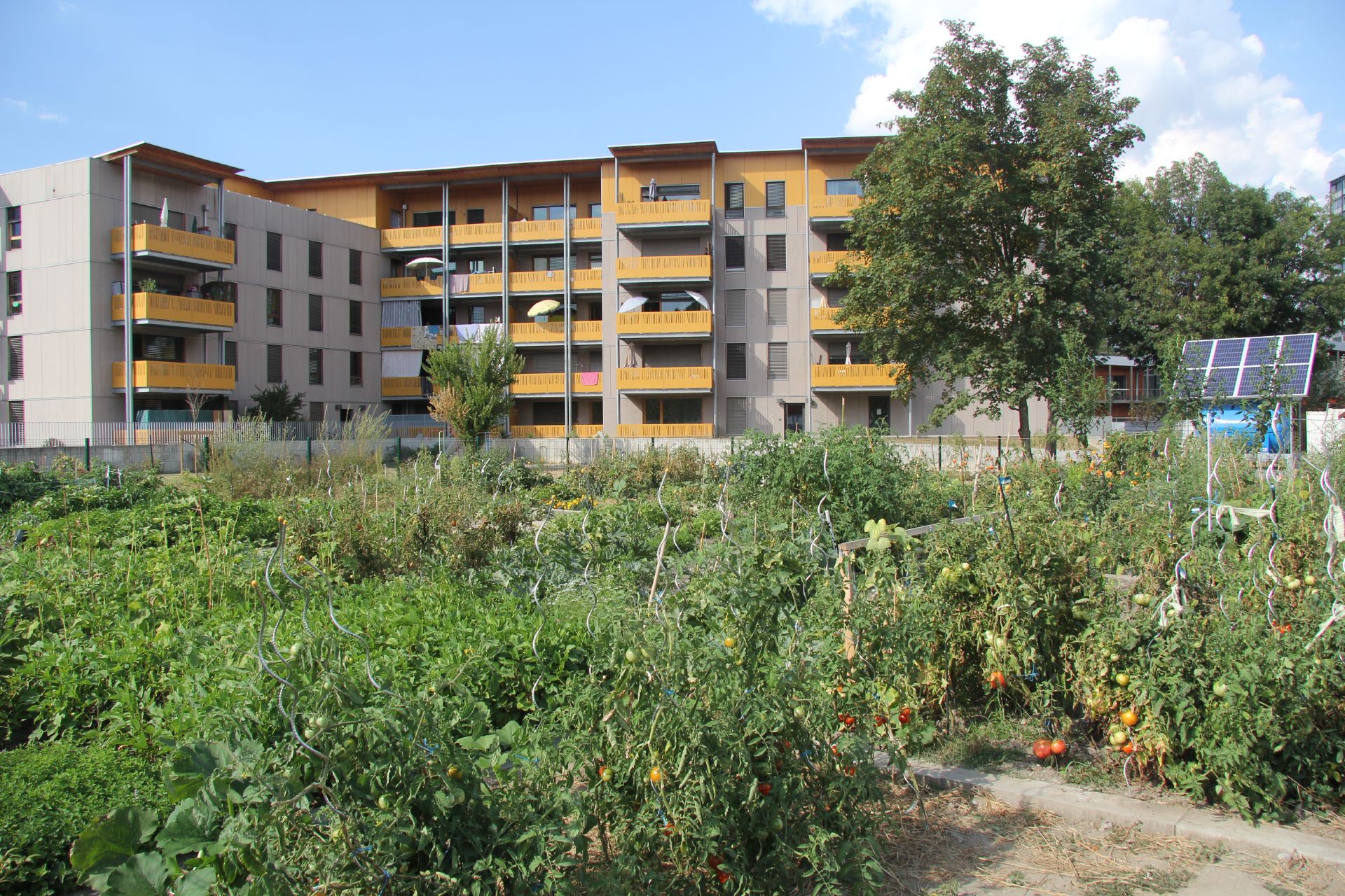 Jardins métissés