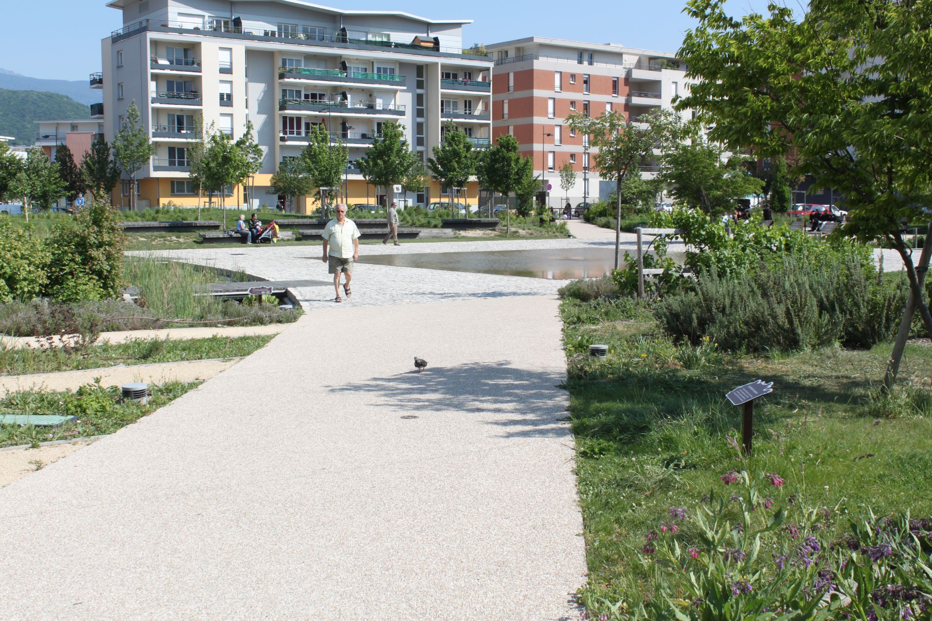 Des promeneurs traversent le square du Champ de la Rousse, en centre ville.