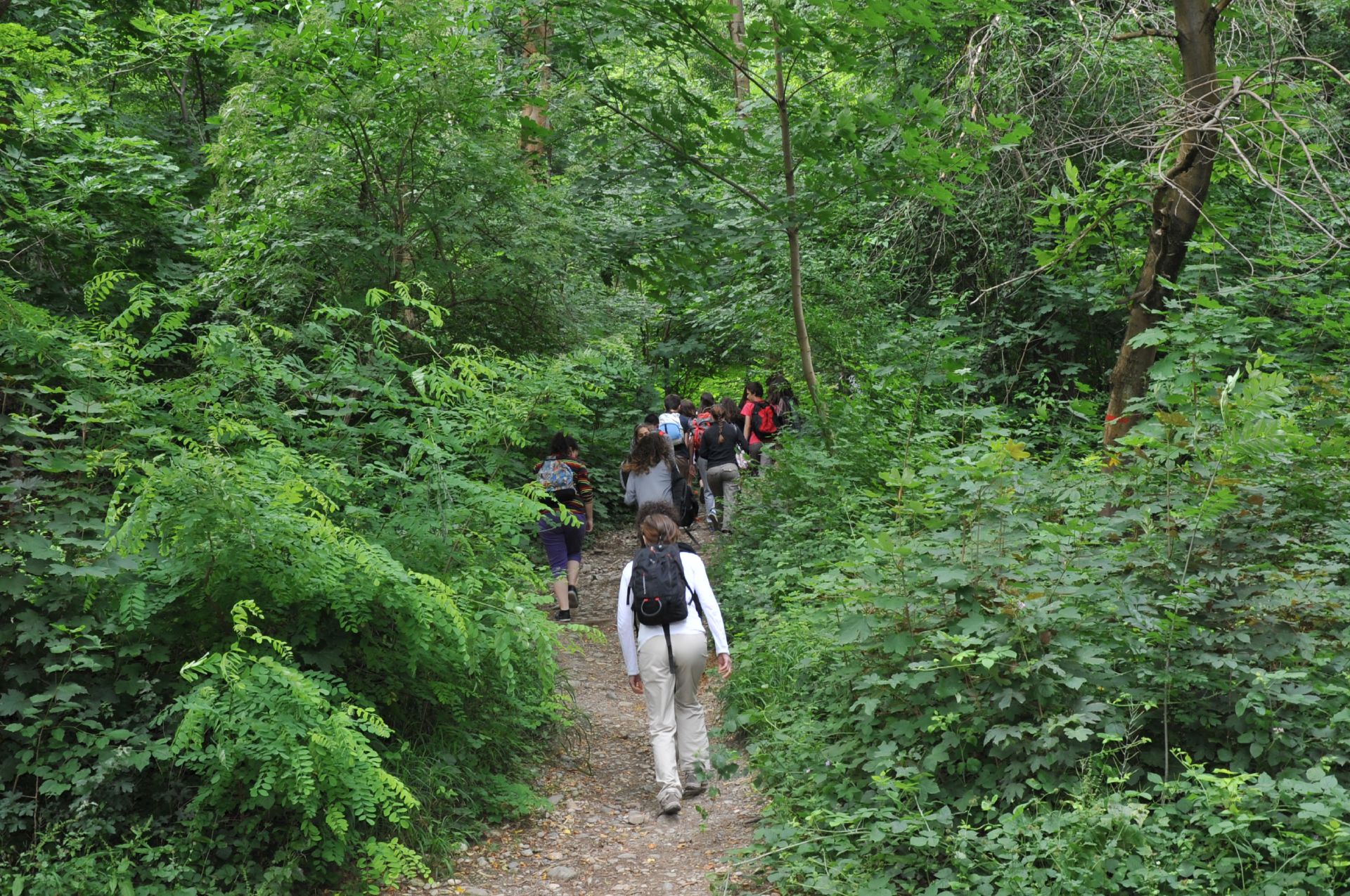 En route pour l'aventure ! Des randonneurs s'élancent sur les sentiers de la Frange Verte pour une balade, direction Jarrie et le plateau de Champagnier.