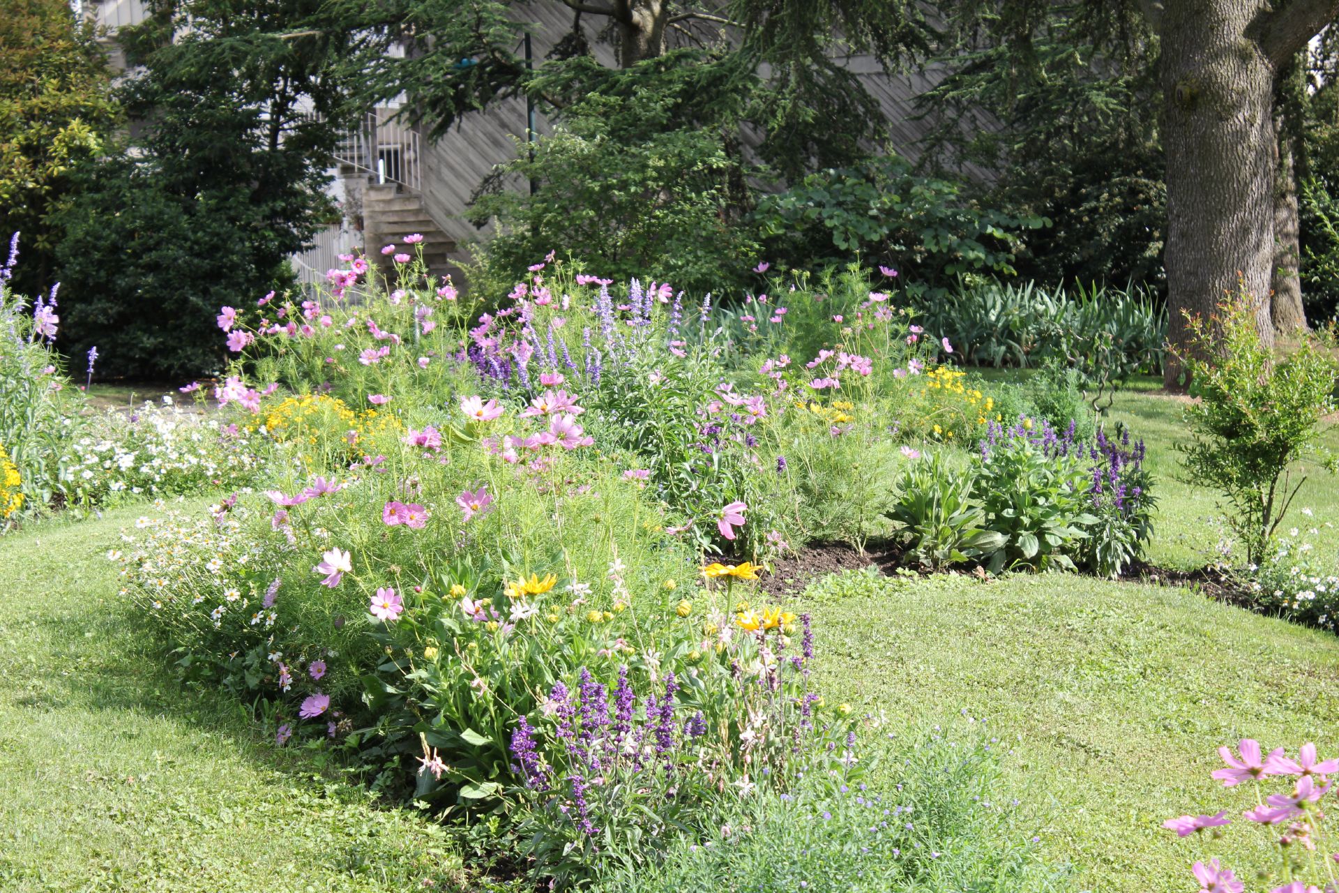 Echirolles, Ville fleurie Parterre de fleurs