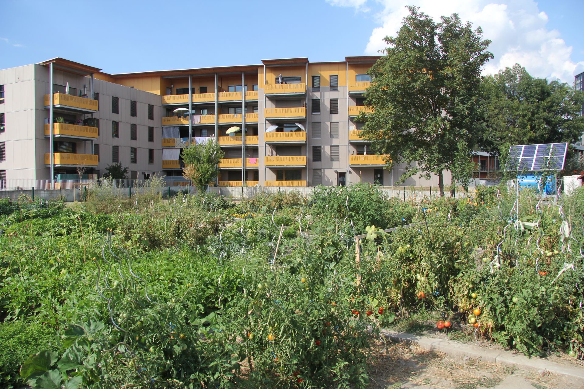 Echirolles, ville engagée Echirolles, ville engagée