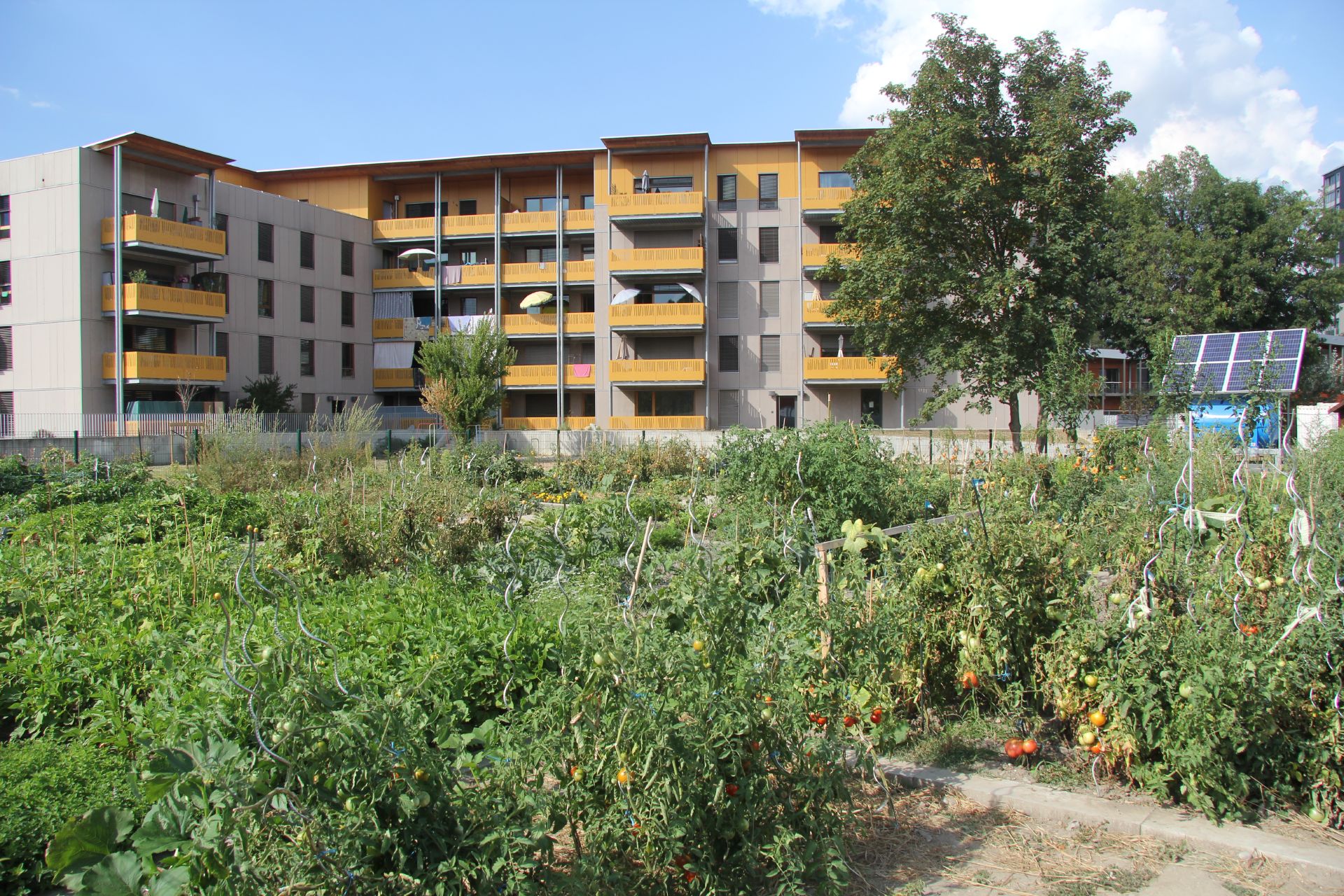 Echirolles, ville engagée