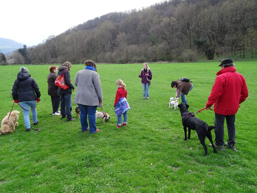 Cours éducation canine 2017 Cours éducation canine 2017