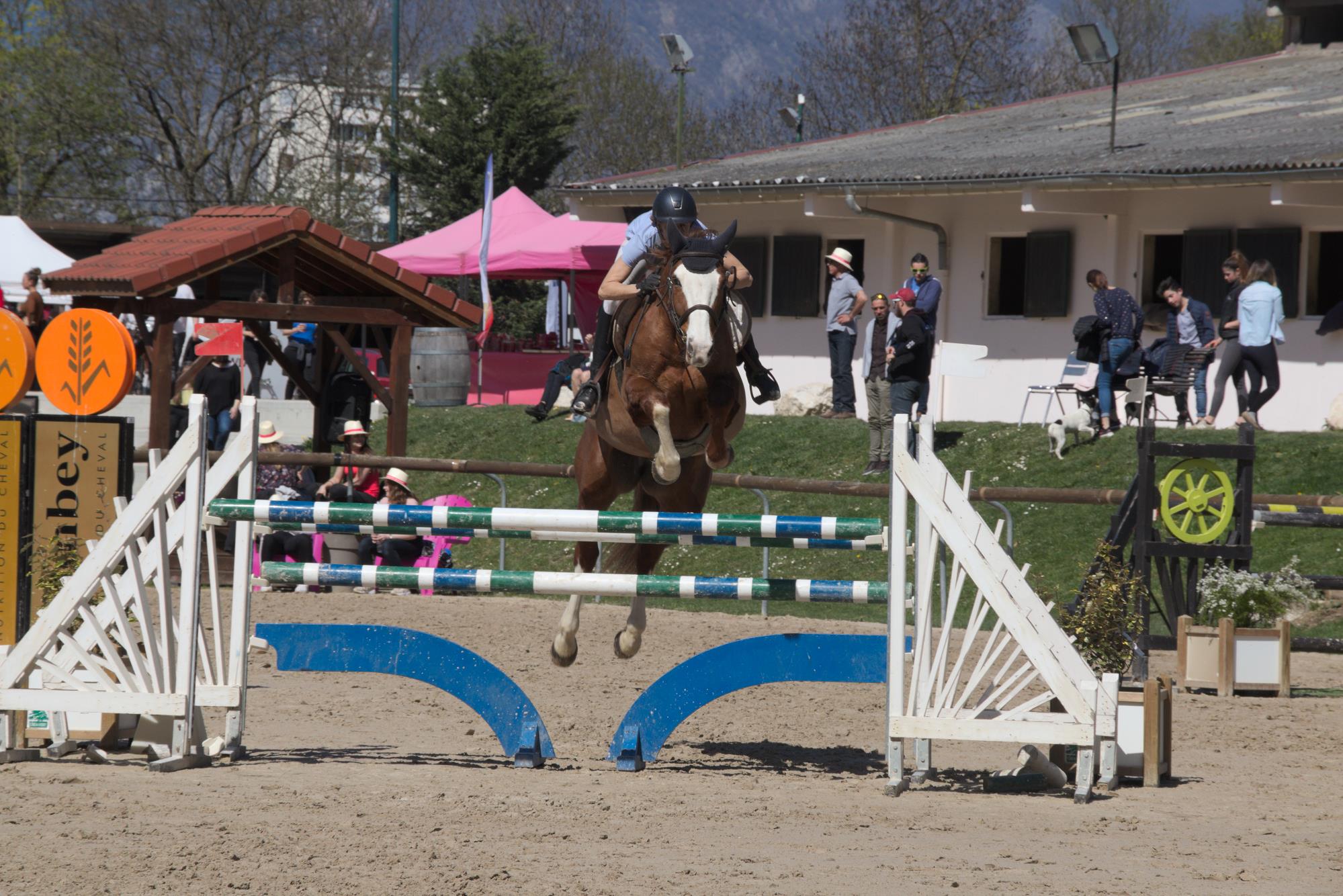 Concours hippique national à l'étrier du Dauphiné