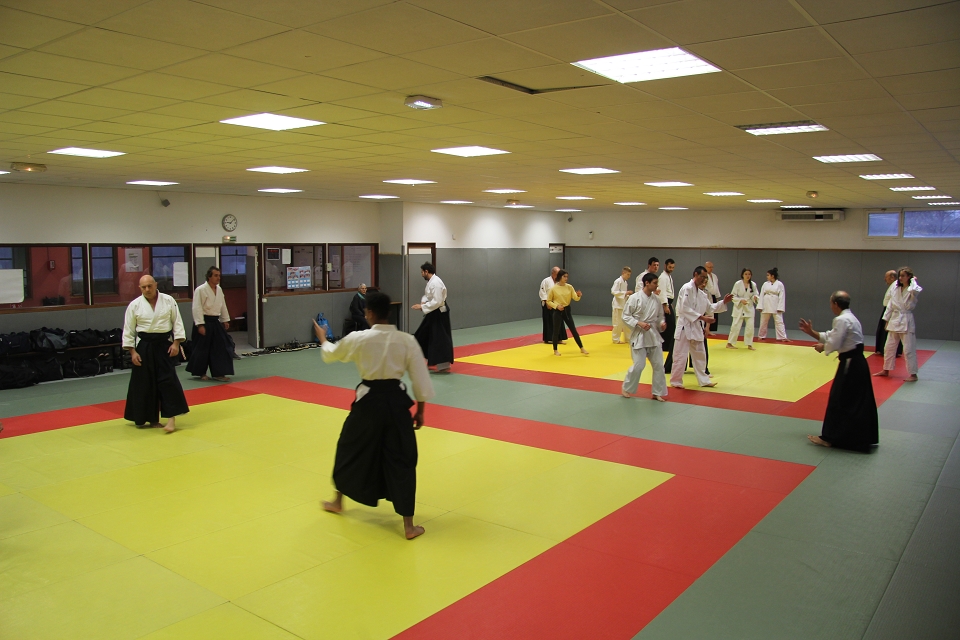 Cours d'initiation à la gymnastique japonaise et à l'aïkido