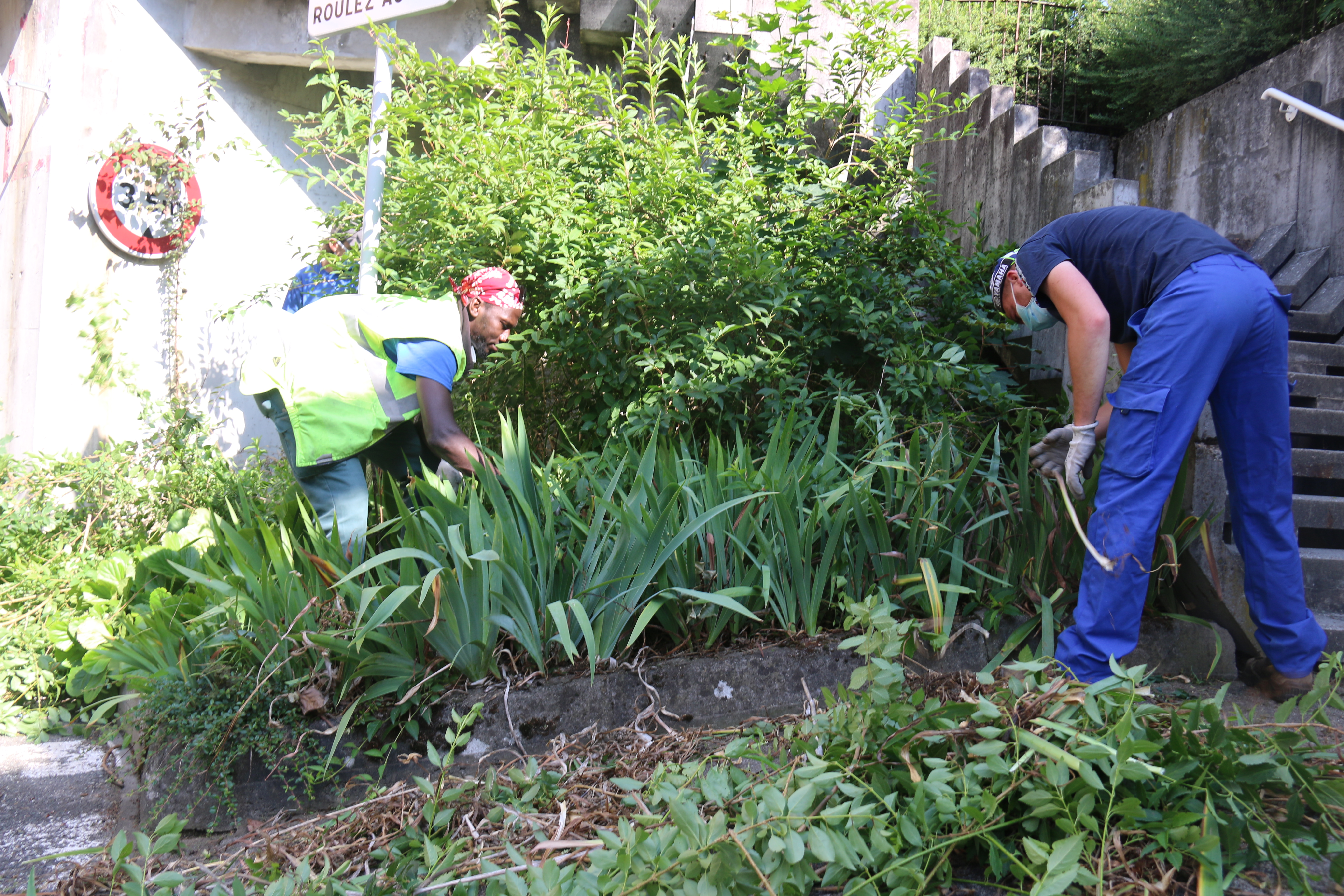 Reprise active pour les espaces verts