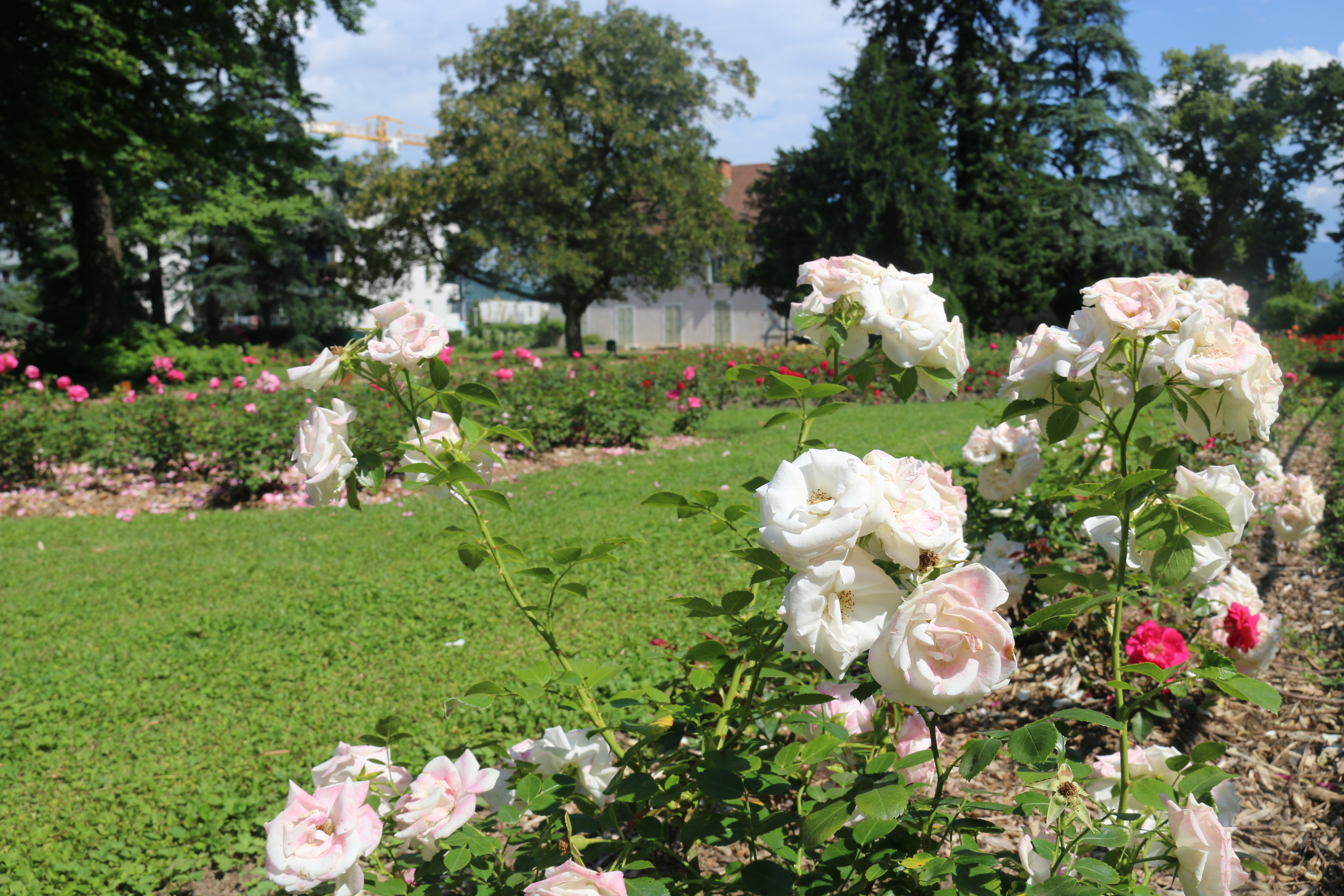 Reprise active pour les espaces verts