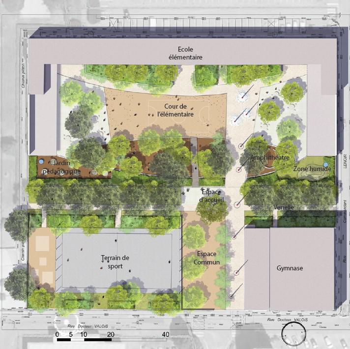 L'îlot Marcel David demain Projection de la végétalisation de la cour de l'école Marcel David. Vue aérienne de la cour avec des arbres plantés.