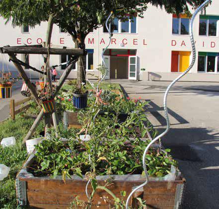 Vue sur un espace végétalisé dans la cour de l'école Marcel David