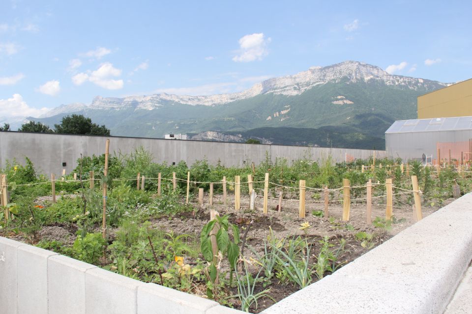 Photo des jardins partagés du Golden Par,  situés sur le toit des garages souterrains, avec vue sur le Vercors.