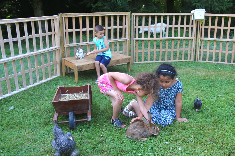 Des enfants jouent dans un enclos avec des lapins