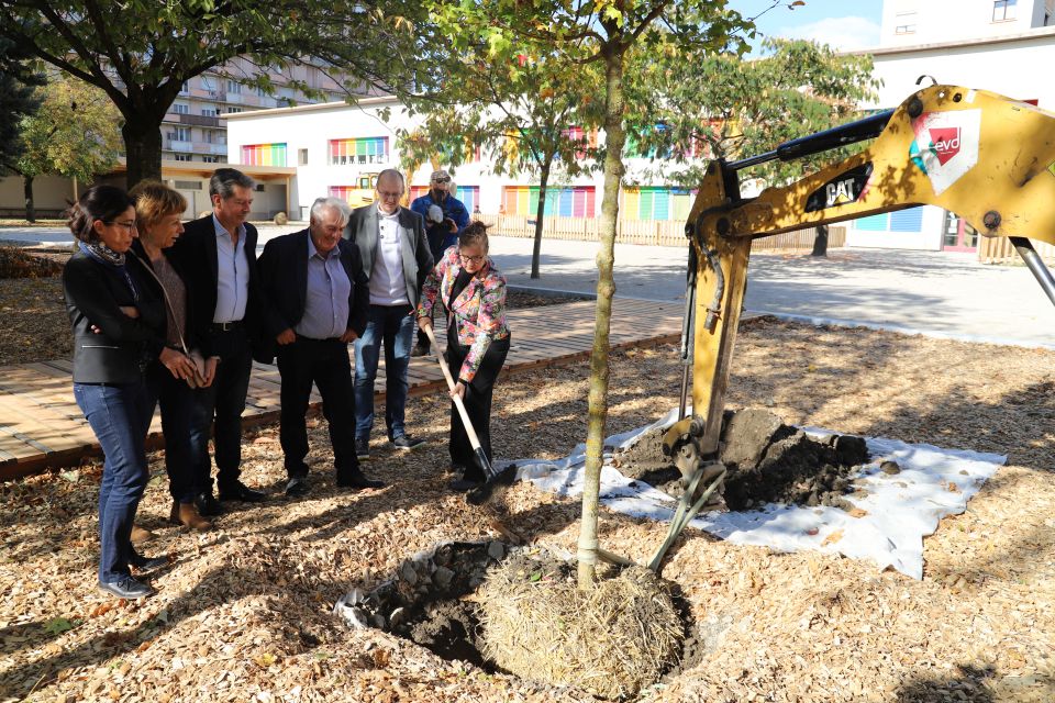 Ecole Marcel-David : Place aux plantations