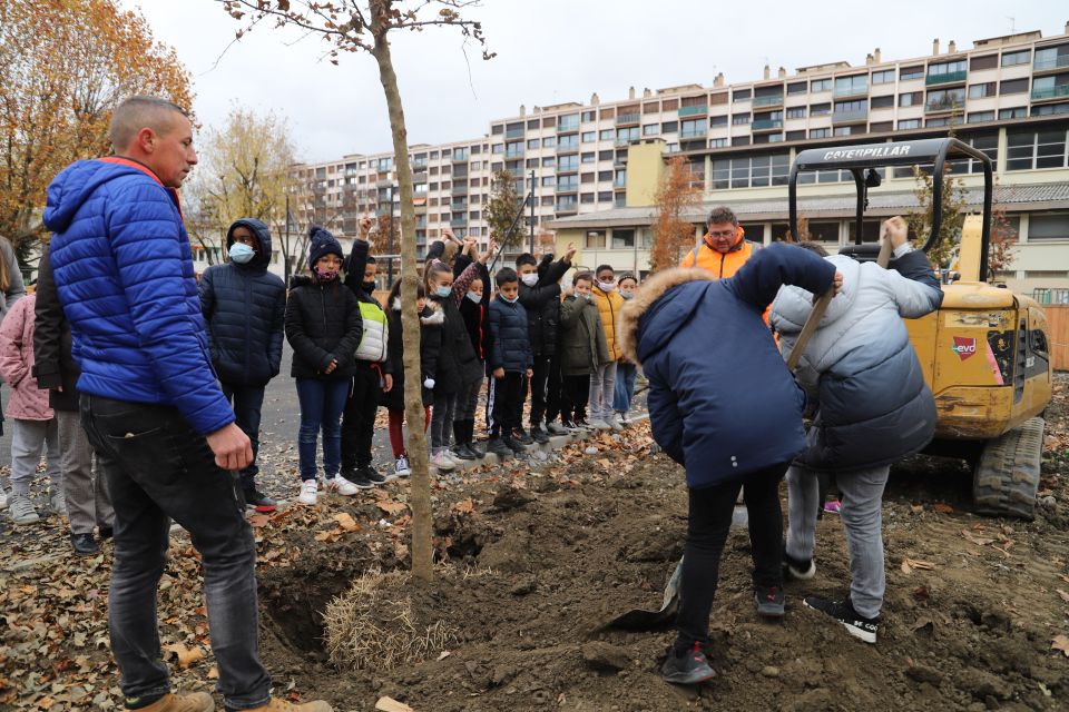 Les élèves des 13 classes de l'école ont planté des arbustes et un arbre par niveau aux abords du nouveau cheminement piéton et du plateau sportif.