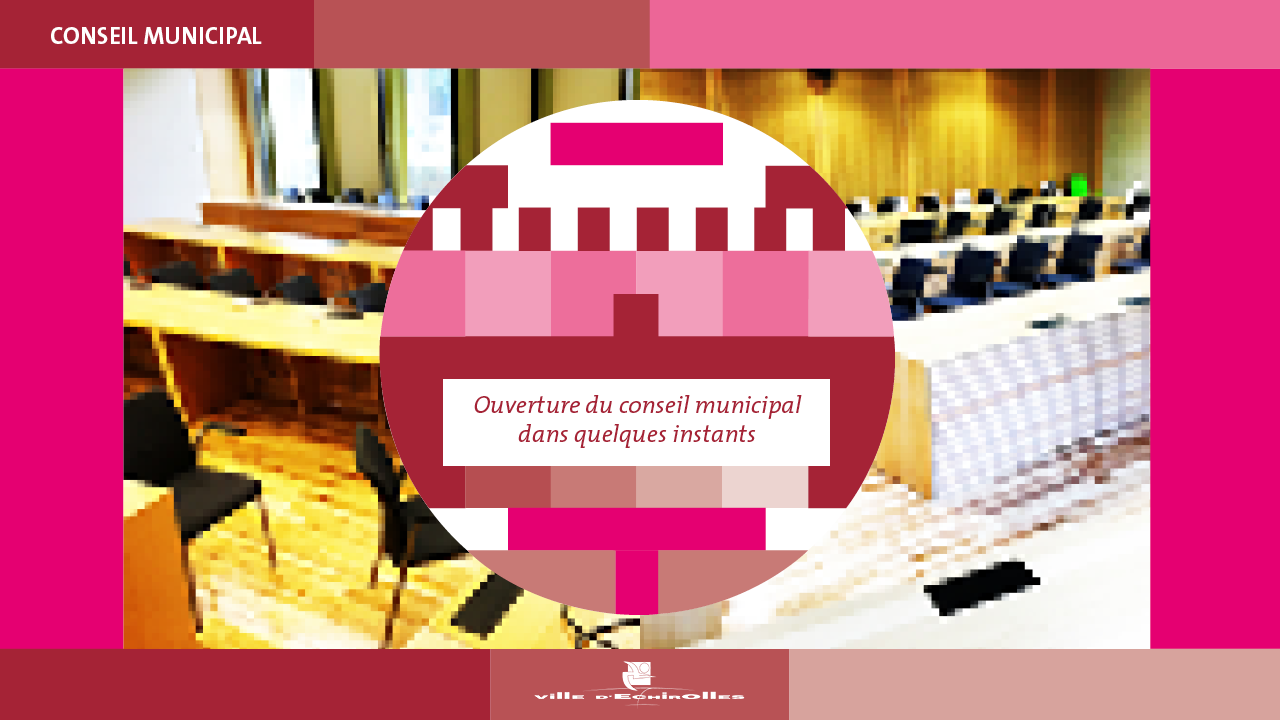 Capture d'écran de la diffusion du Conseil Municipal
