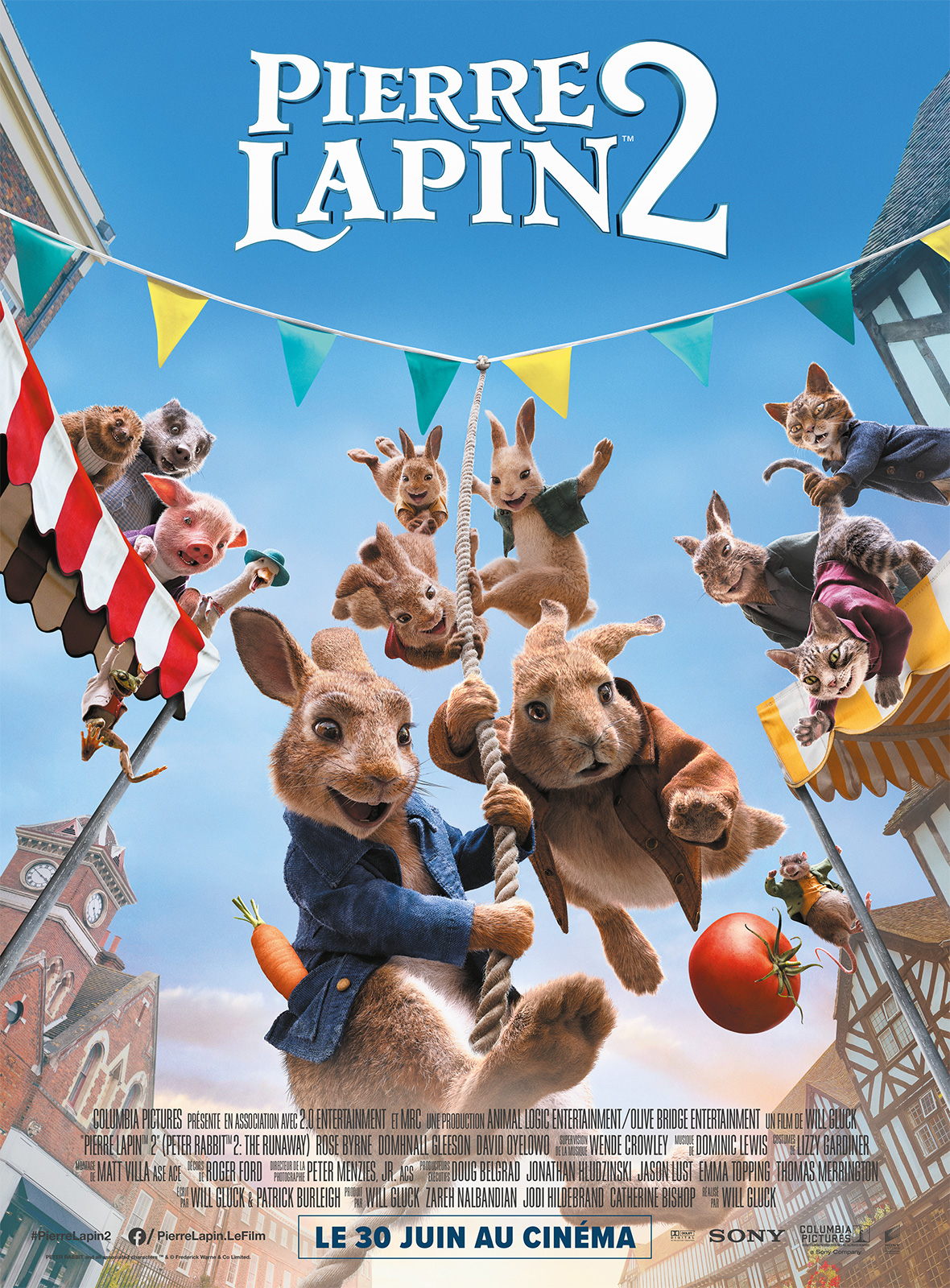 Affiche film Pierre Lapin 2