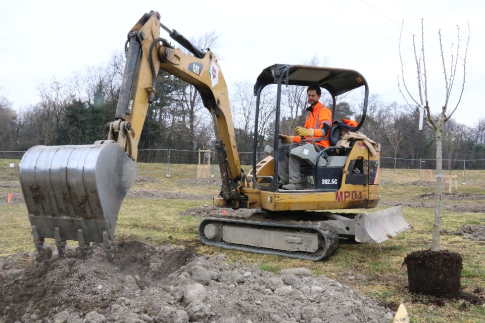 Les équipes d'EVD, qu ont pris la suite de celles de Perona, bénéficient d'une météo plutôt clémente pour la plantation des 100 arbres et 60 arbustes du verger.