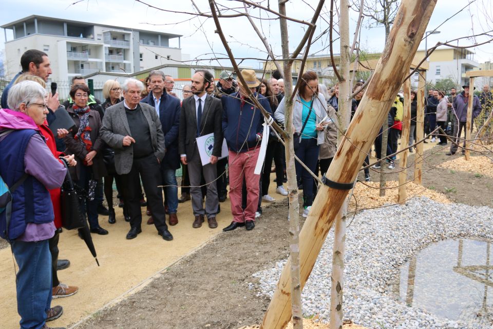 Élu-es et habitant-es ont parcouru les 200 mètres du corridor biologique parsemé de 25 arbres et de 4 mares pour abriter les crapauds calamites et leurs têtards.  