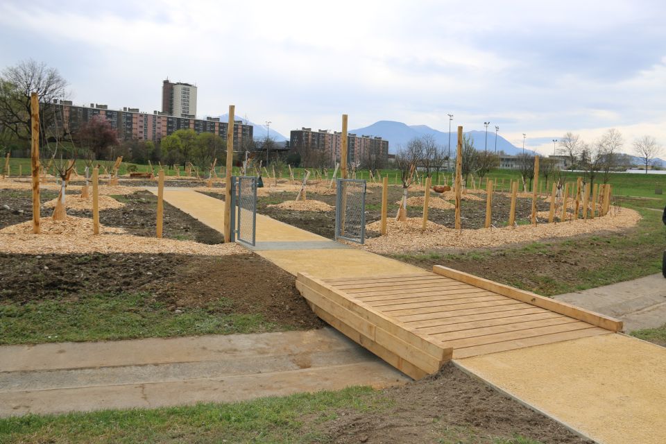 Le verger participatif situé à l'ouest du parc Picasso s'organise en cercles concentriques. Les dernières plantations seront achevées dans un mois, en attendant les premiers fruits...