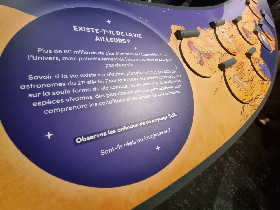cosmoexpo cosmoexpo
