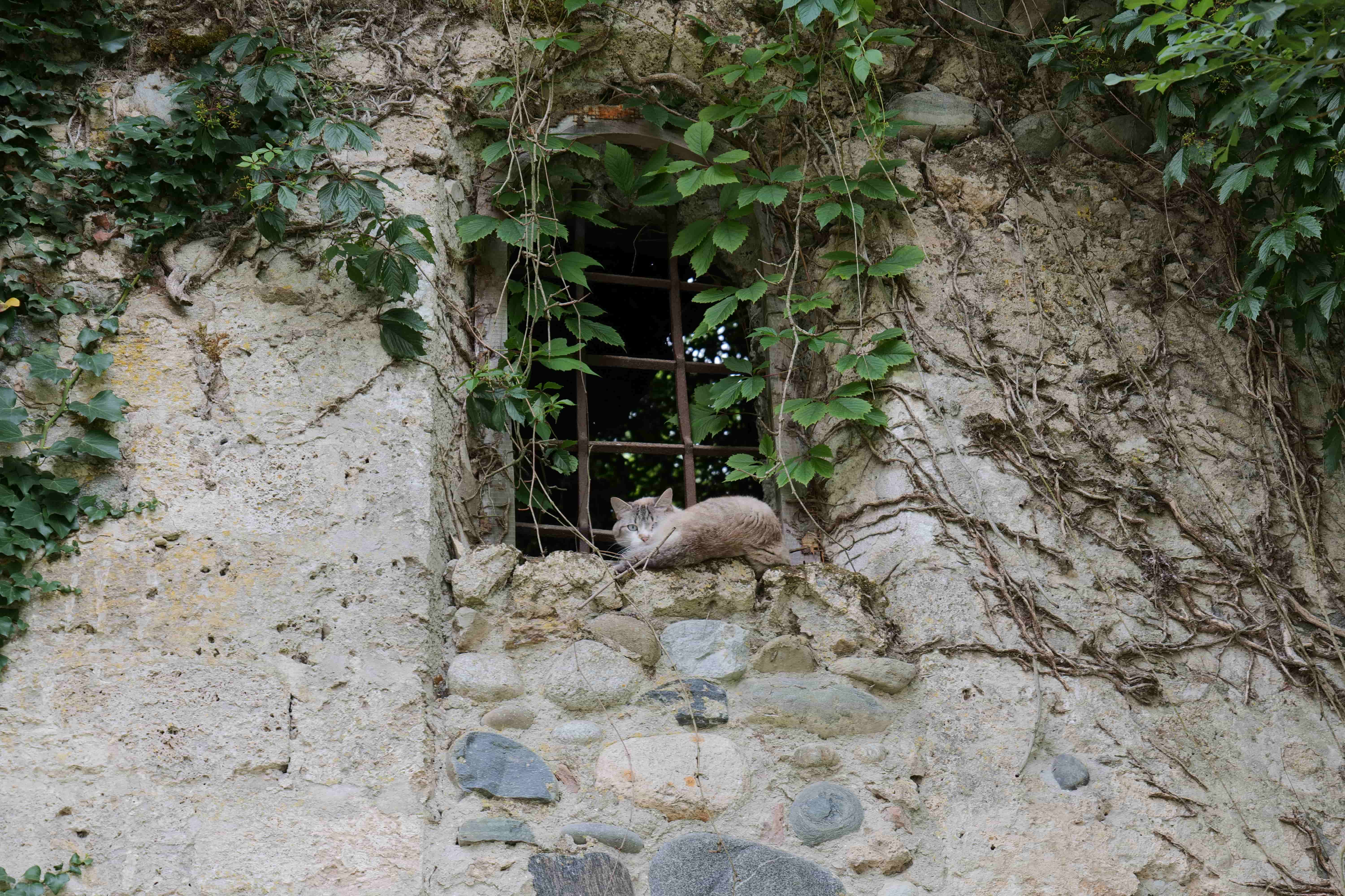 Des petits habitants occupent les lieux.