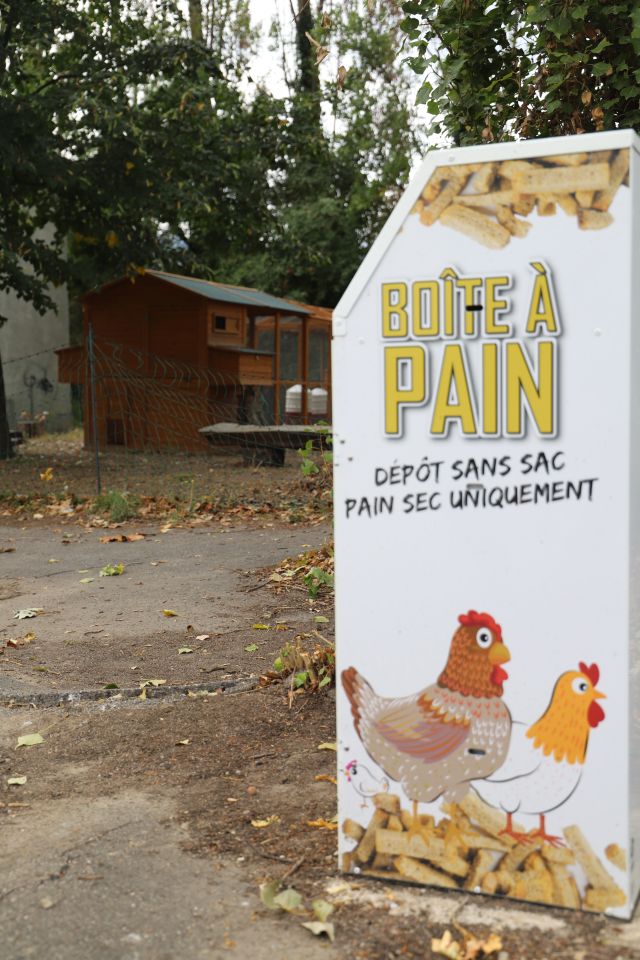 Une boîte à pain installée par la SDH est à disposition des habitant-es pour venir y déposer leur pain, qui servira, en partie, à nourrir la vingtaine de poules du poulailler. De quoi entretenir un cycle court et vertueux !