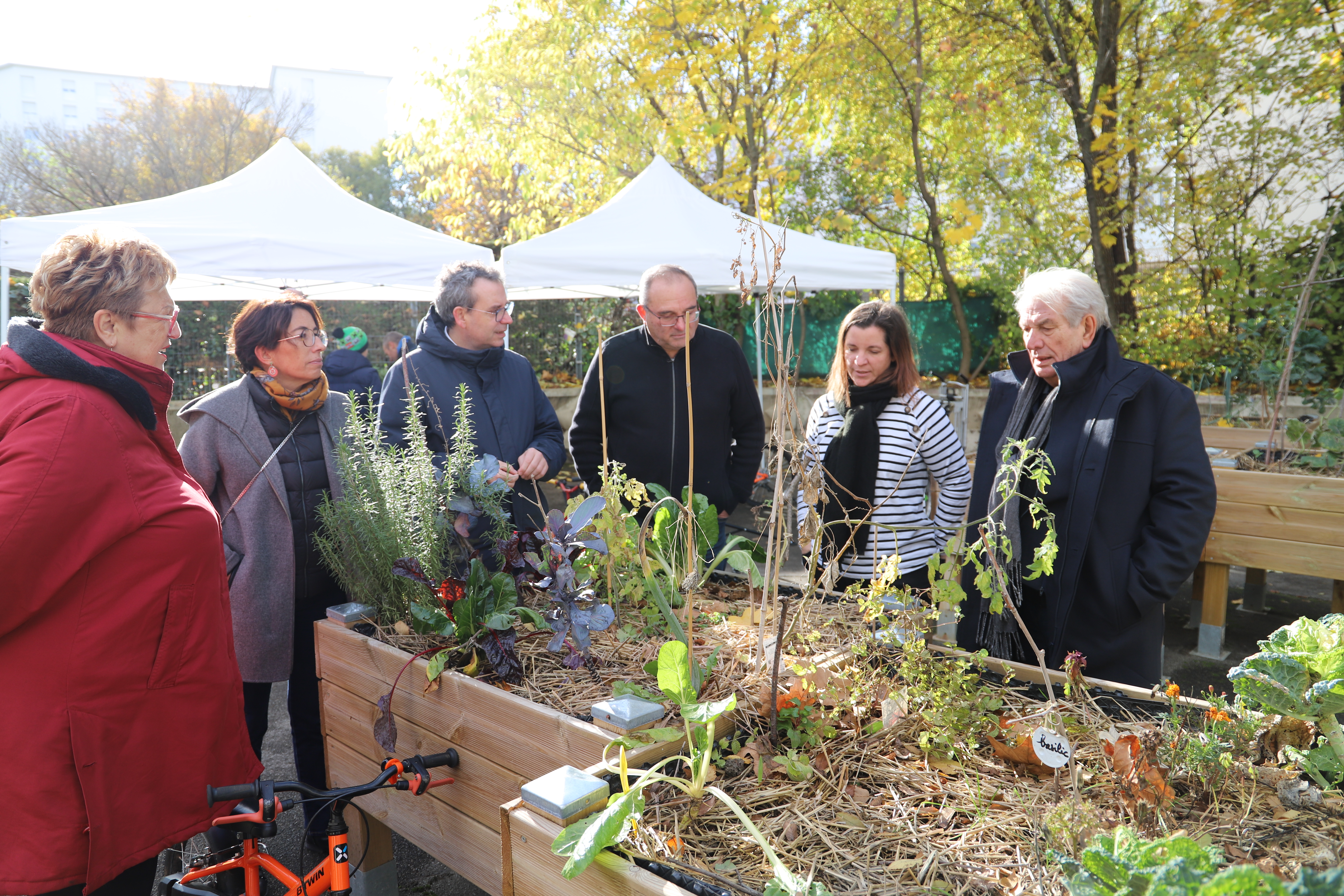 Photo de la visite d'un jardin partagé