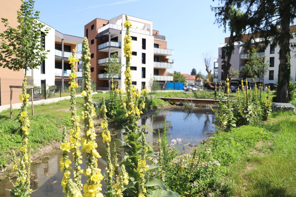 Visite de chantier : Premier volet de l'été