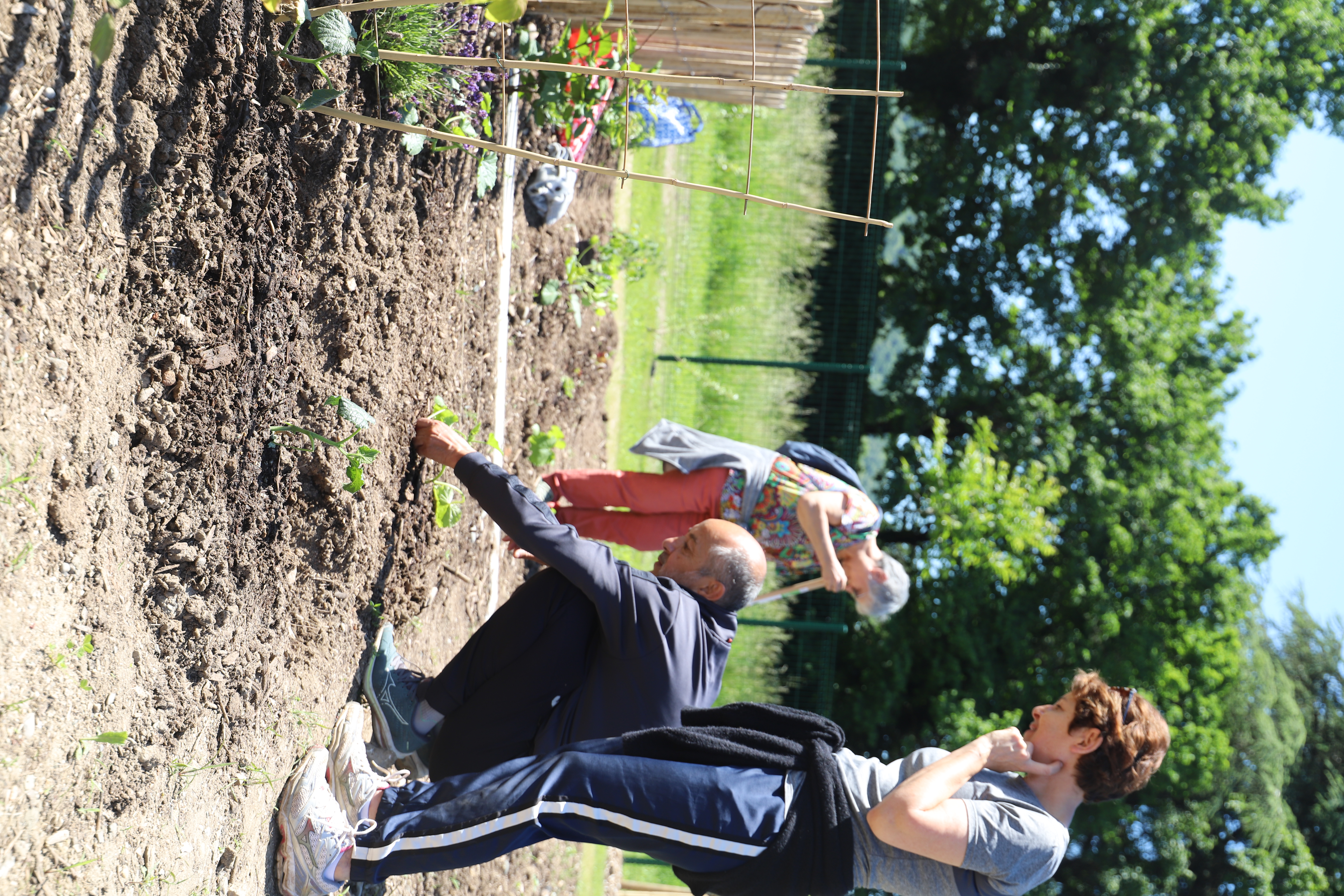 Pour Djamel, ici accroupi entrain d'entretenir sa parcelle, comme pour nombre de jardinier-ières, l'intérêt des jardins partagés réside pour beaucoup dans l'opportunité de faire des rencontre et d'échanger. 