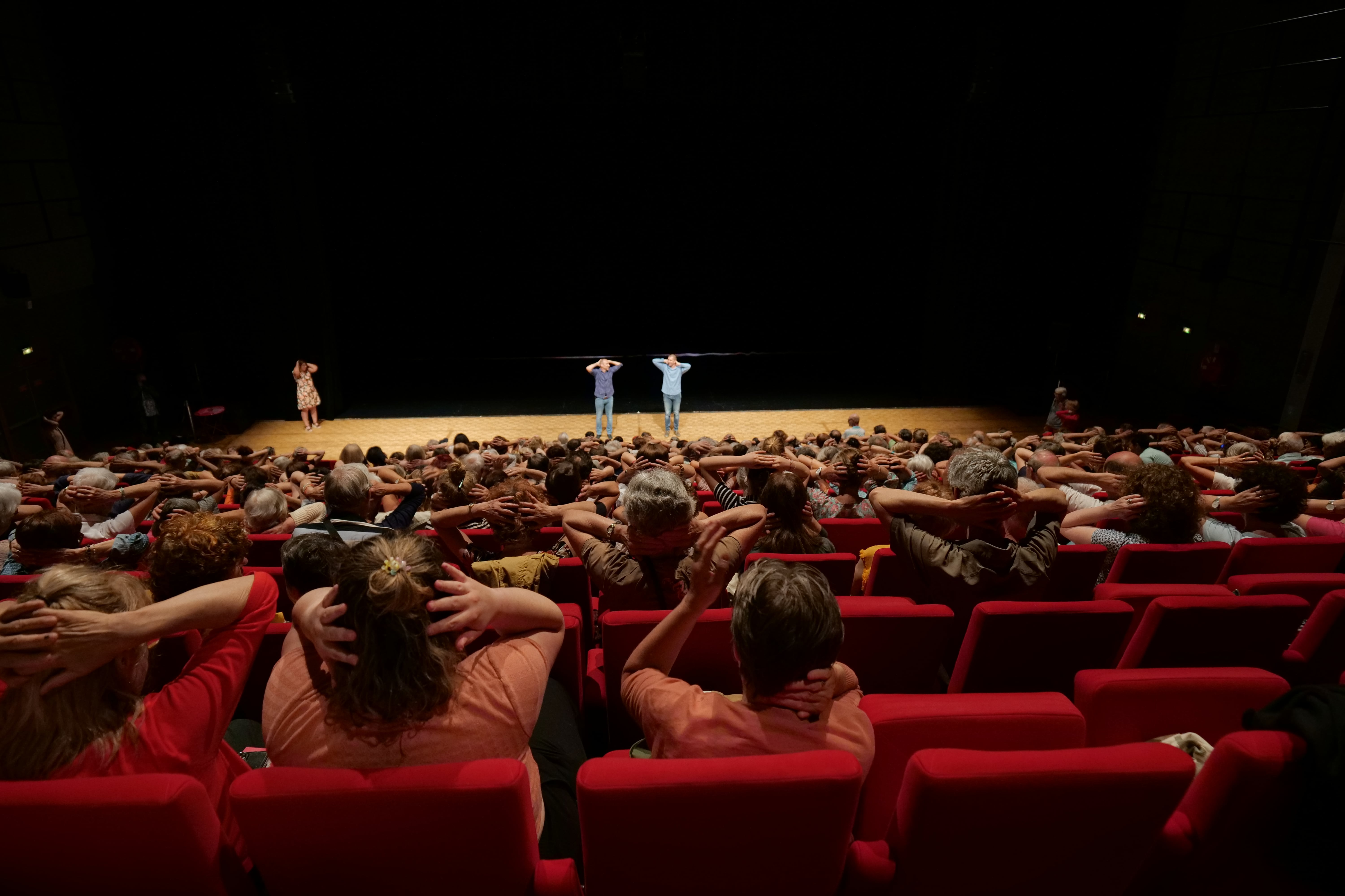 Denis Plassard a fait danser la salle de La Rampe.