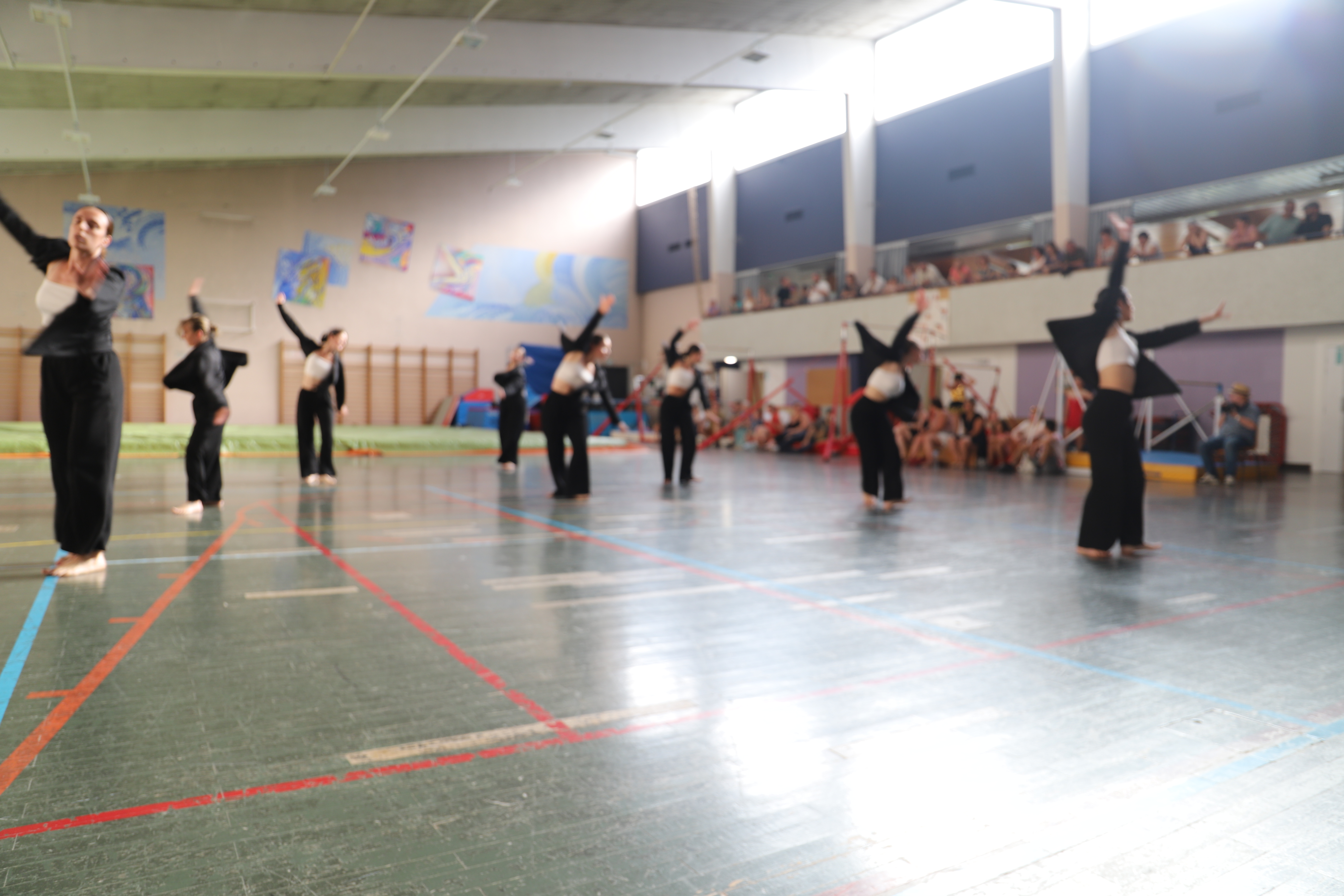 Les danseurs et danseuses de l'association Idéale danse ont participé à la réussite de l'inauguration en proposant des démonstrations de danse et de rock acrobatique. 