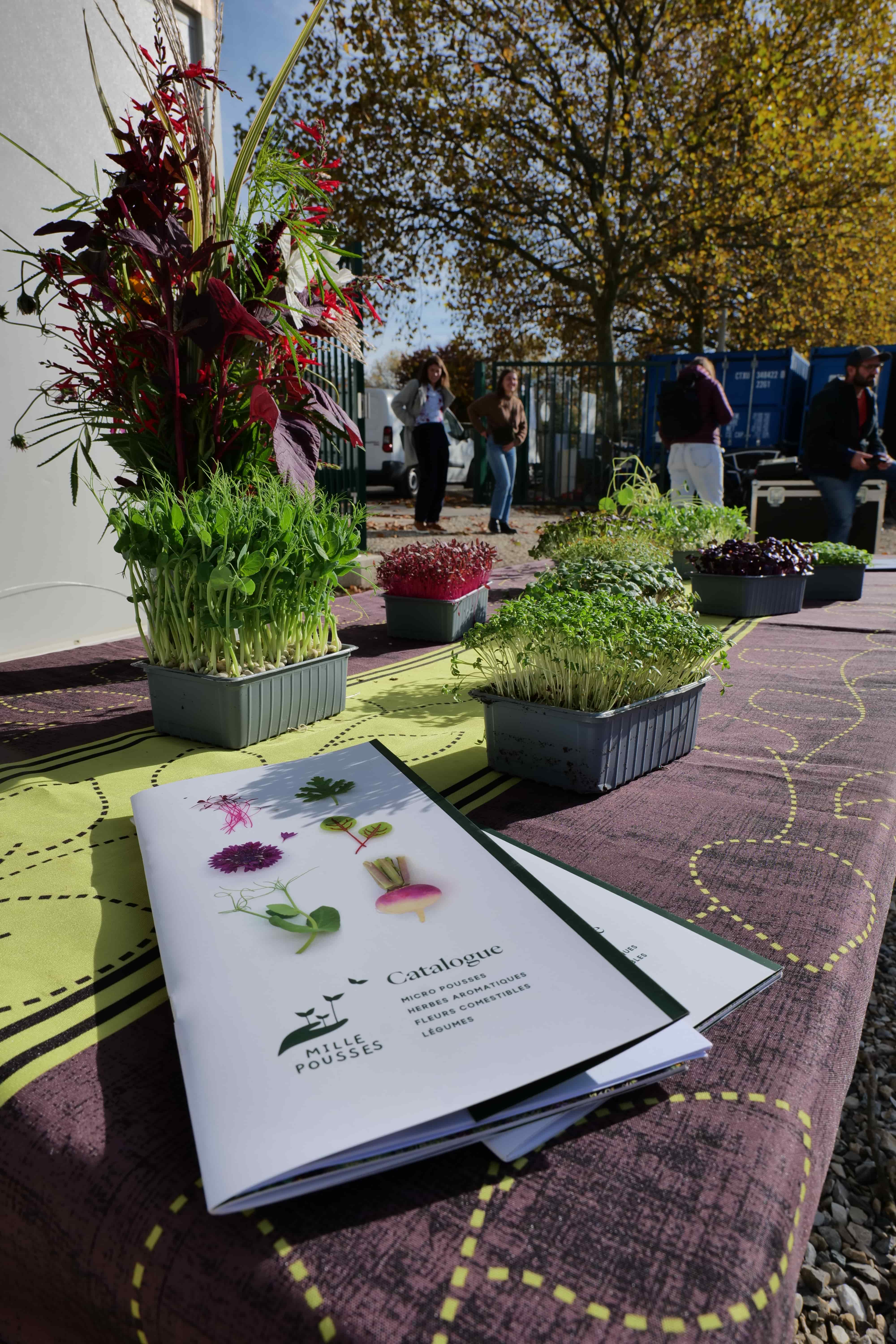 La ferme Mille Pousses gère maintenant deux fermes urbaines sur le territoire.