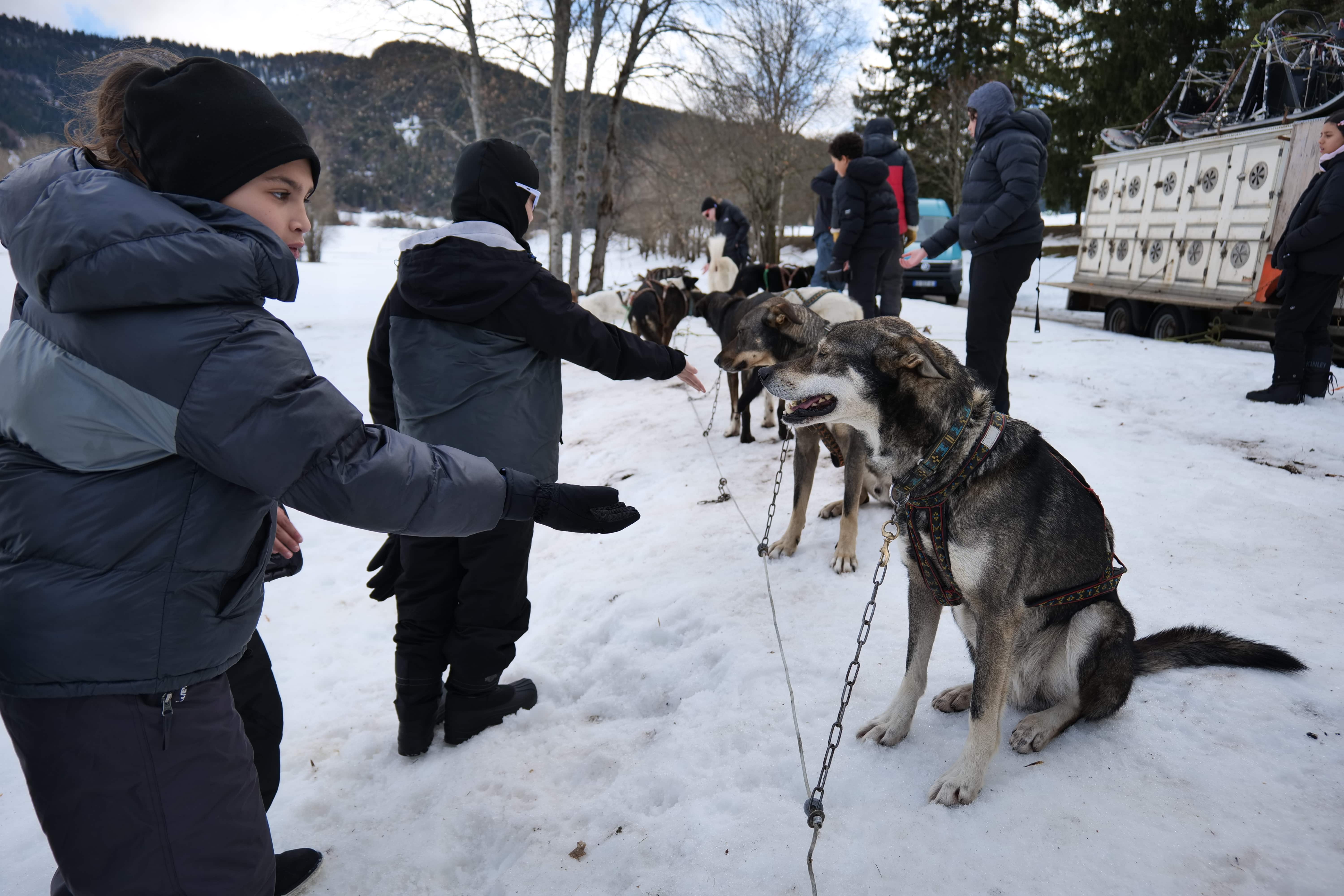 L'activité chien de traineau a plu aux petits comme aux grands !