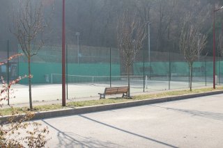 Tennis Frange Verte Tennis Frange Verte