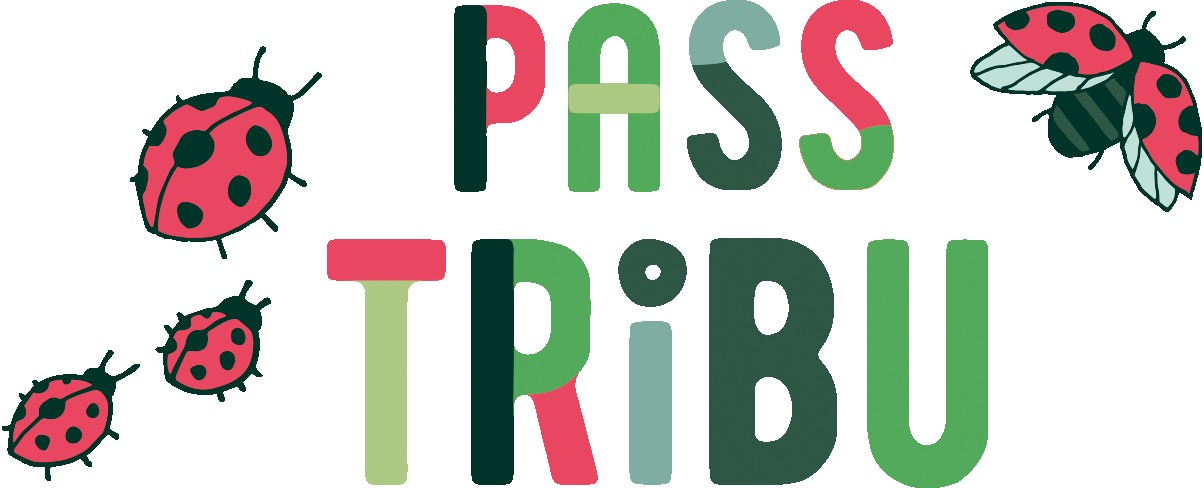 passtribu-logo.png