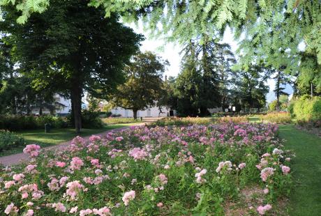 La roseraie du parc Géo-Charles