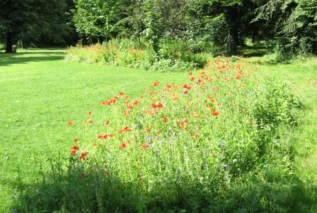 Le parc Géo-Charles