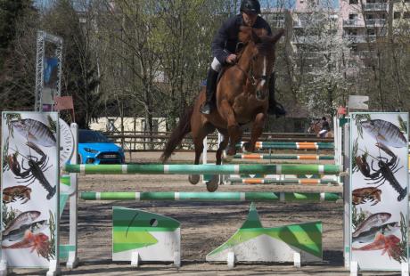 Concours hippique national à l'étrier du Dauphiné