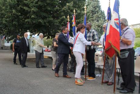 Elus et représentants d'associations d'anciens combattants saluent les porte-drapeaux