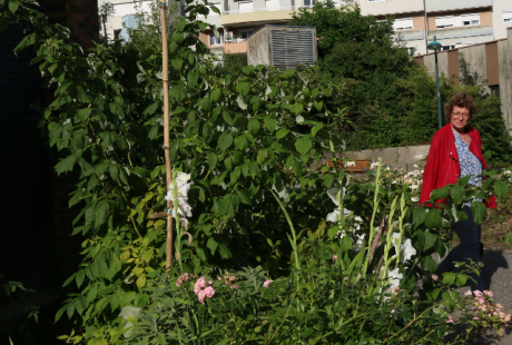 Photo du jardin collectif de la MDH Anne Franck dans le quartier des granges