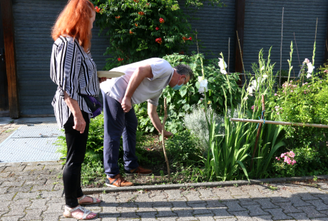 Photo du jardin collectif de la MDH Anne Franck dans le quartier des granges