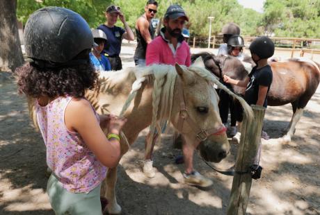 Les poneys ont été choyés toute la semaine par les plus petits.