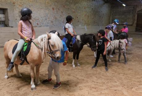 Les poneys ont été choyés toute la semaine par les plus petits.
