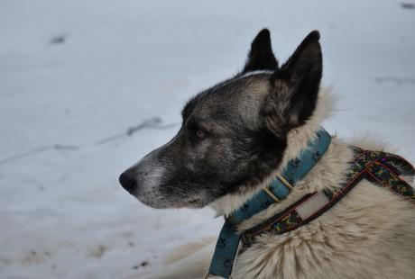 Les enfants ont participé à de nombreuses activités durant la semaine.