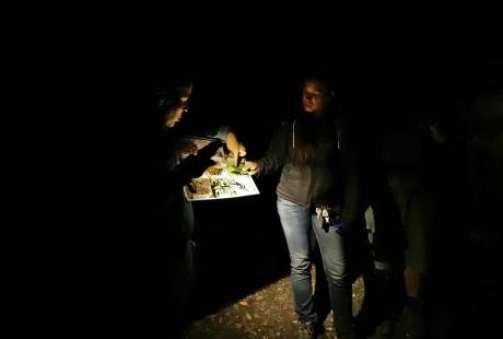 La sortie était animée par France nature environnement Isère.