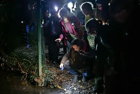 Une quinzaine d'habitants ont participé à la balade nocturne