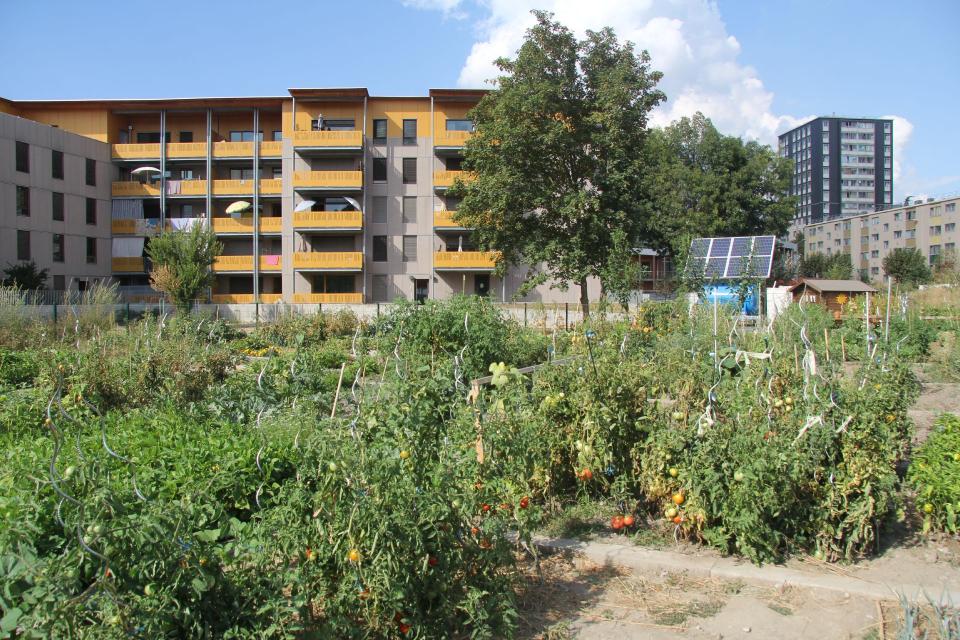 Jardins métissés